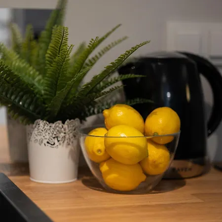 Apartman Praga Kokoryczki With Parking By Renters *